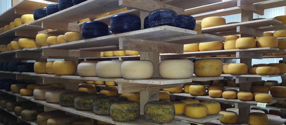 Fromager à Gironde-sur-Dropt
